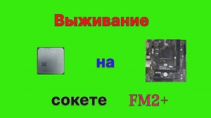 Антология FM2+