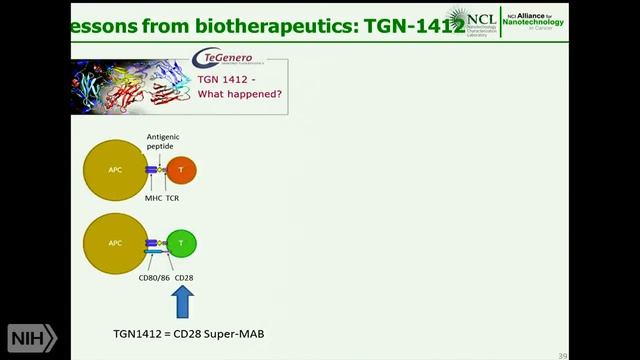 TRACO 2014 - Nanotechnology; Pancreatic cancer смотреть онлайн
