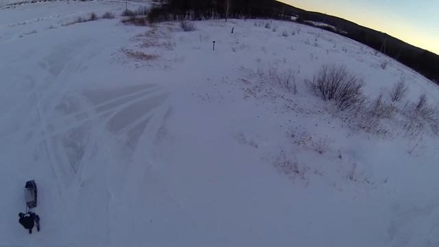 собака смотреть онлайн