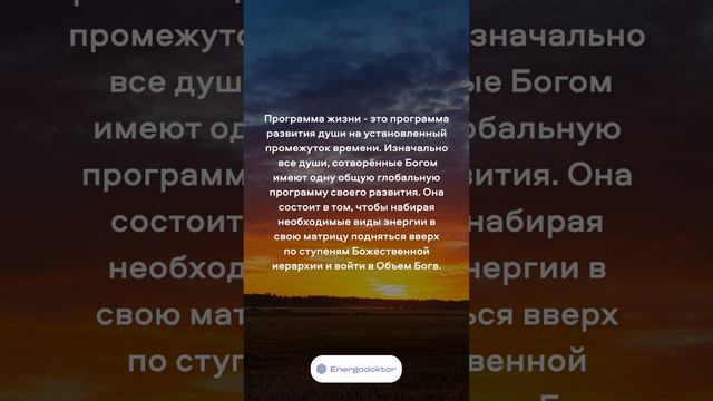 Программа жизни смотреть онлайн