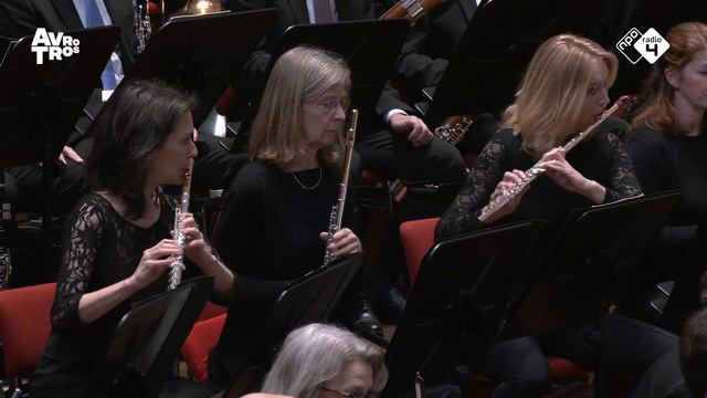 Le sacre du printemps - bassoon solo's смотреть онлайн