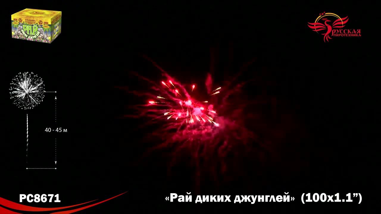 PC8671 смотреть онлайн