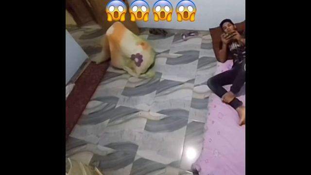 ПРИЗРАКИ КОТОРЫХ СНЯЛИ НА КАМЕРУ смотреть онлайн