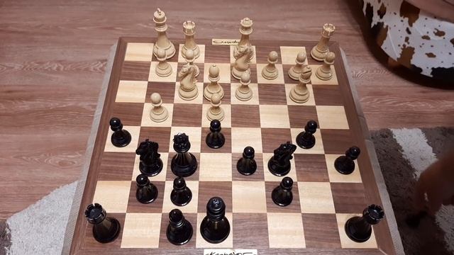 Шахматы. Ферзевая приманка. Конь в шахматном настроении. Международный день шахмат. смотреть онлайн