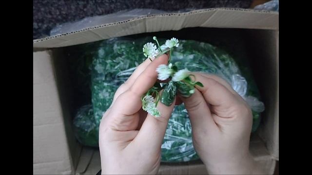 Распаковка новой зелени. Посылка1. смотреть онлайн