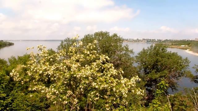 УТРО, КОФЕ, КОТ, БЕРЕГ. КОНФУЗ !!!;)) АУТФИТ. смотреть онлайн