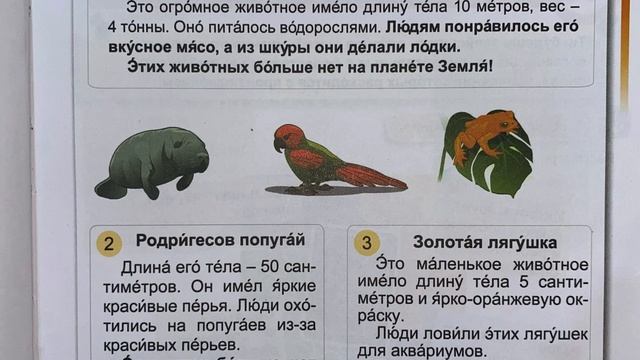 4 сынып орыс тілі 47 сабақ смотреть онлайн