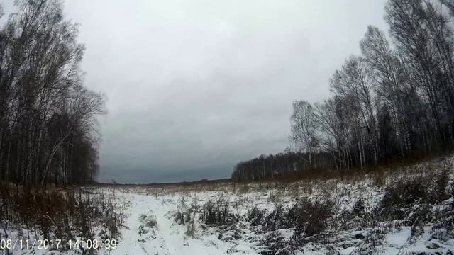 Охота на зайца.С эстонской гончей. смотреть онлайн