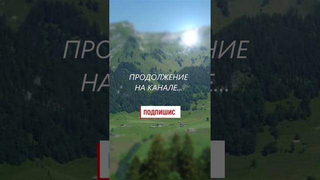 Они женаты давно, но ребенка так и не смогли завести #shorts смотреть онлайн