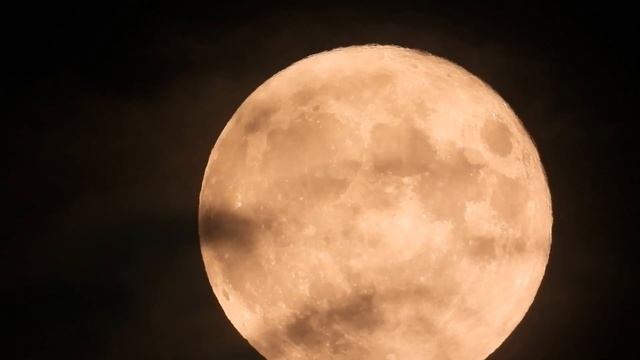 NIKON COOLPIX P1000 ZOOM IN ON MOON TEST | AMAZING CLOSE UP FOOTAGE смотреть онлайн