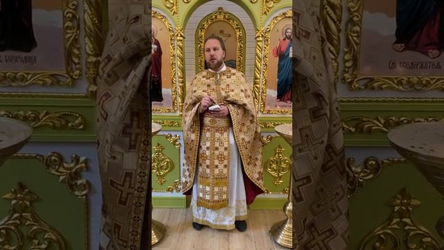 ДЕРЕВО И СУЧОК смотреть онлайн