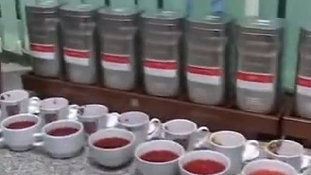 Althaus презентация в гостинице Россия 2006 смотреть онлайн
