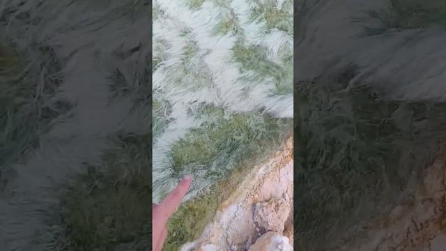 Невероятное явление природы на серных источниках. Остров Суматра смотреть онлайн