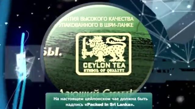 41 выпуск. Среда обитания. Гадание на кофейной гуще. смотреть онлайн