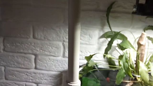 Бюджетное освещение аквариума смотреть онлайн