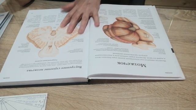 Головокружение. Продолжение работы с Анисой. Анфиса Жаббарова смотреть онлайн