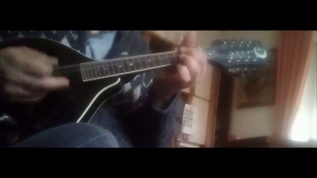 Autumn Leaves - Jazz Mandolin Solo #mandolin #jazz  #mandolino #autumnleaves