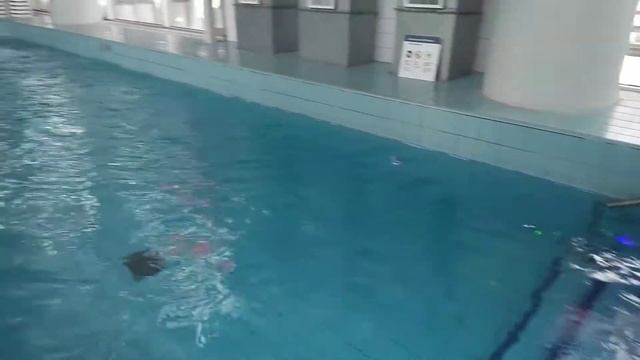 Поездка в Аквапарк "Лебяжий" г Минск смотреть онлайн