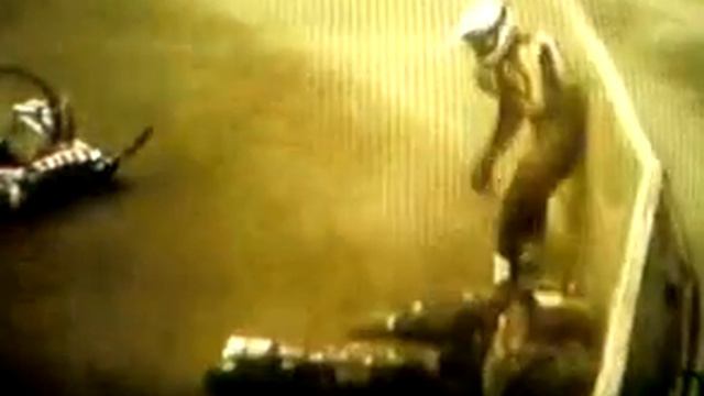 Laguta & Minigaleev 2003