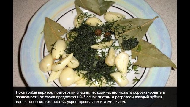 Мода для Женщин