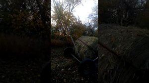 Прицеп для перевозки рулонов сена своими руками.