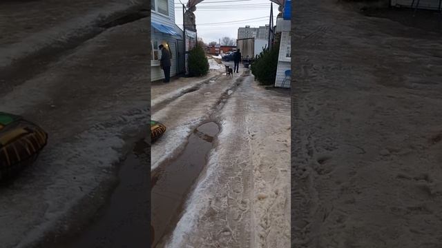 Продают елки, елочный базар, новый год, Рождество, новогодняя елка, снег, тульская область, Щекино