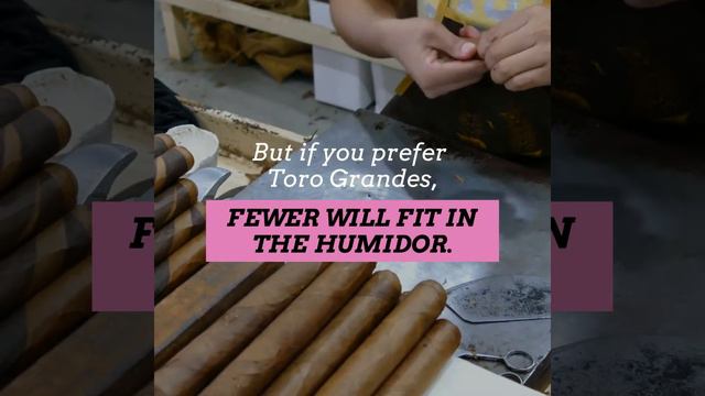 5 Things To Consider When Buying A Humidor: The Perfect Gift for a Cigar Aficionado смотреть онлайн