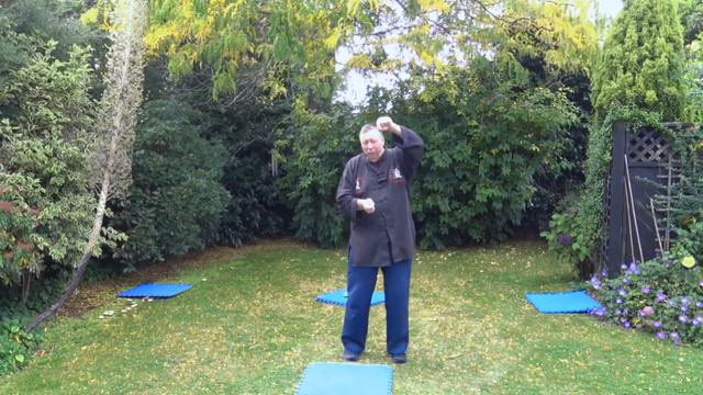 bagua zhang old mother 8 palm intro смотреть онлайн