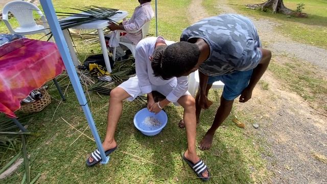 Наука о Животных и их Поведение