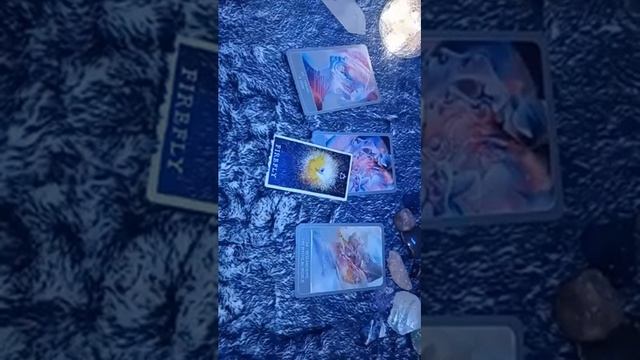 General Oracle Reading, Empaths Oracle, Wild Unknown Animal Spirit Oracle, Law of Attraction Readin смотреть онлайн