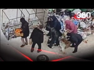 Разобрали просрочку на помойке за 10 секунд