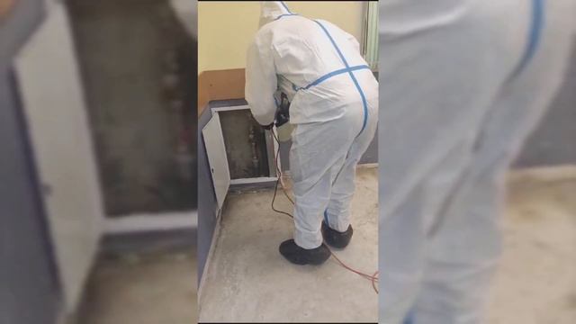 Обработка от плесени и грибка. Полное выведение. смотреть онлайн
