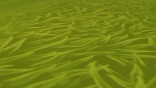 Мини фильм Wildcravt: Идти куда глаза глядят смотреть онлайн