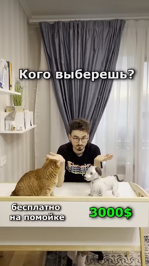 Они захватят этот мир🗿 смотреть онлайн