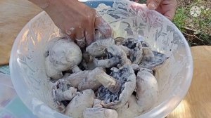 ГРИБЫ на МАНГАЛЕ.ШАШЛЫК из ГРИБОВ.Как замариновать грибы для мангала.ПРОСТОЙ РЕЦЕПТ.