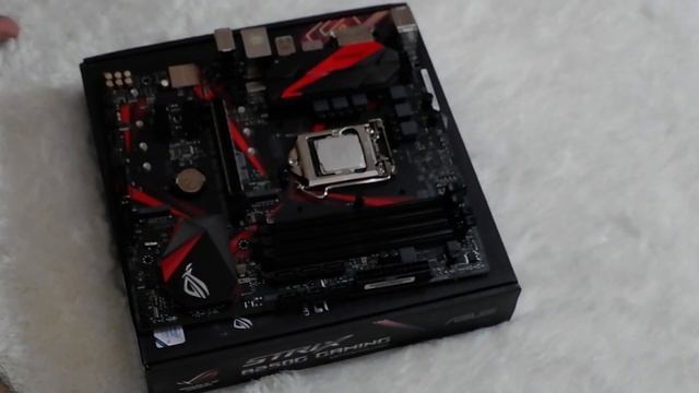 Rakit PC 2X.XXX.XXX 2017 bosqueee смотреть онлайн
