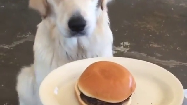 Спасибо, я на диете смотреть онлайн