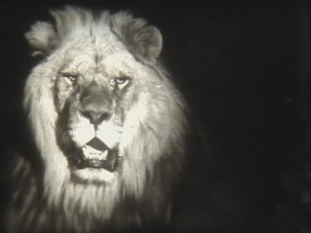 Английский язык. Похищенный