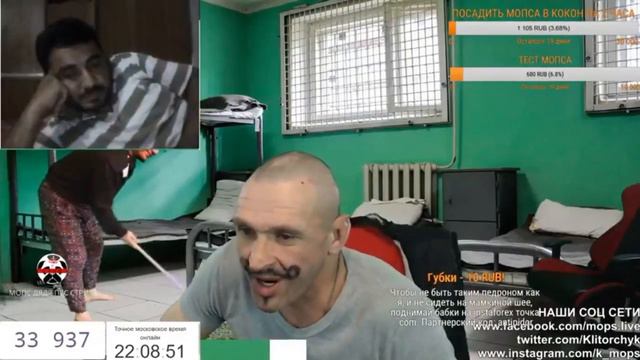 ПОДПИСЧИКИ ГАСЯТ МОПСА ЗА ТРАВУ/ МОПС ОТМАЗЫВАЕТСЯ КАК МОЖЕТ. смотреть онлайн