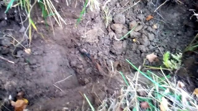 Не всё золото блестит. Коп металла с ТХ-850 смотреть онлайн