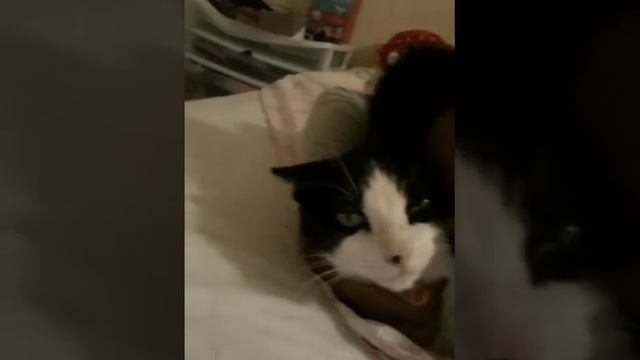 First video of kummer it's a mixture of katherine and summer смотреть онлайн