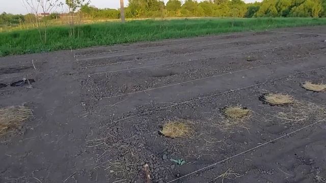 Усадьба Хорошие люди закончили посадки смотреть онлайн