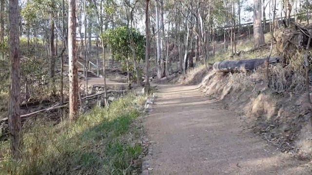 20 Best Day Trips from the Gold Coast, Queensland - Australia смотреть онлайн