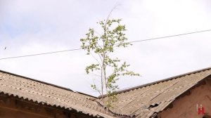 "Временное жилье" - как в нем жить и как признать аварийным