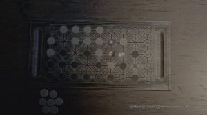 Assassin's Creed III: How to WIN Fanorona