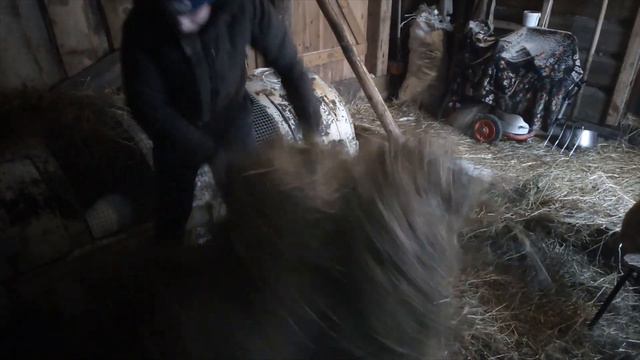 Тёлка "на охоте" смотреть онлайн