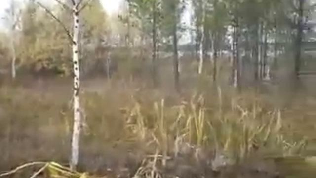 Вездеход Шатун.flv смотреть онлайн