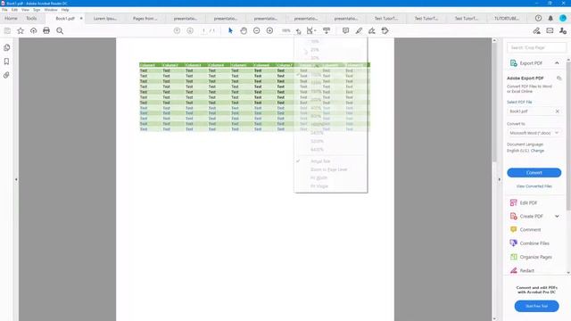 Adobe Acrobat Reader Tutorial - Lesson 3 - PDF Zoom Feature смотреть онлайн