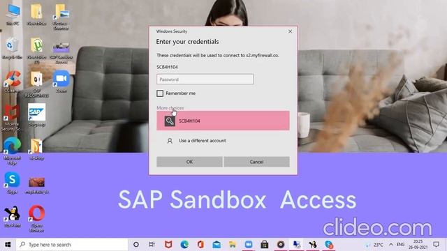 sap sandbox access смотреть онлайн