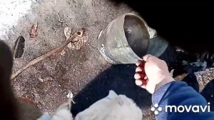 Установка набивки на двигатель Газ 21 змз 417